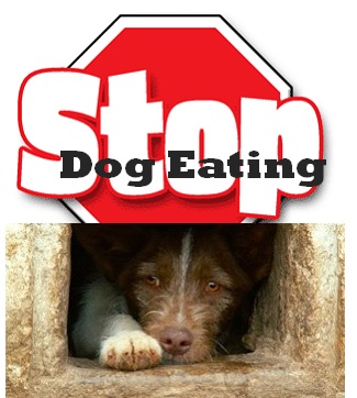 Stop Dog Eating