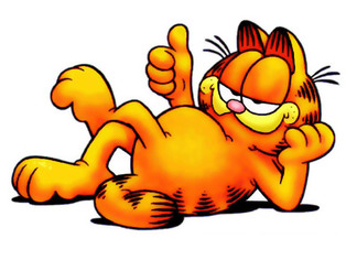 Garfield The Cat