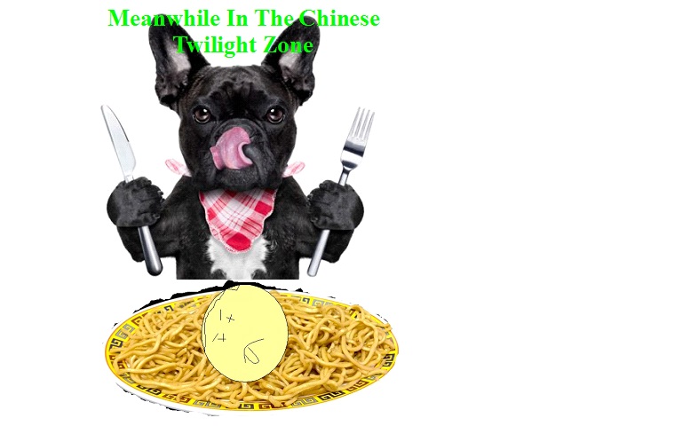 Dog Eating Chinese