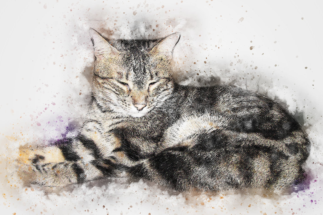 Custom Cat Painting Portrait